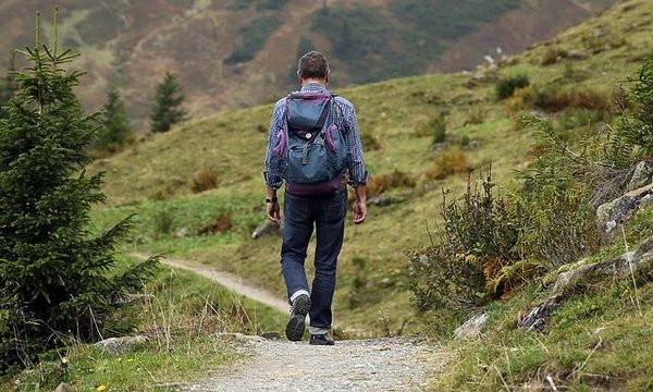 Guide ultime des meilleurs spots d'observation des oiseaux en Ardèche
