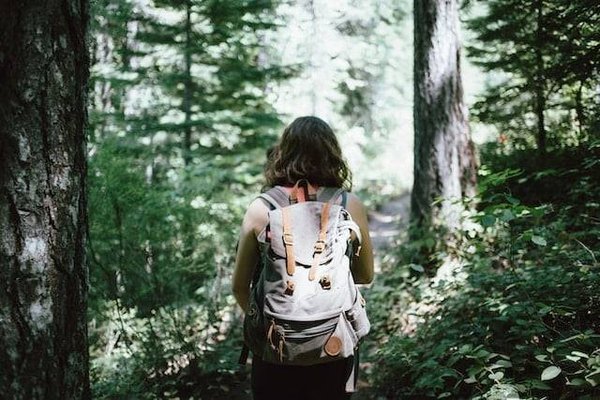Découverte de la biodiversité exceptionnelle en Ardèche : Entre faune, flore et paysages préservés