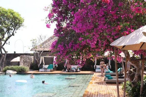 Découvrez les Meilleurs Gîtes avec Piscine en Ardèche pour des Vacances Inoubliables